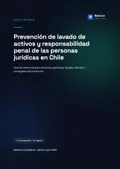 Portada de la guía Leyes 19.913 y 20.393
